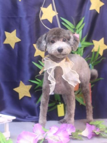 20230716ラッキーくん